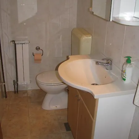 Megi Apartman Tribalj